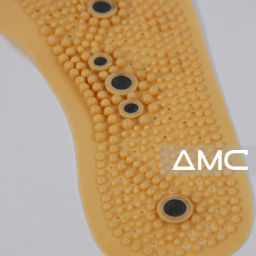 Biomagnetic Insoles,EX-D-003